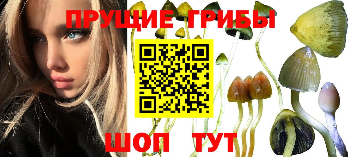 Псилоцибиновые грибы MAGIC MUSHROOMS  Псилоцибиновые грибы мухоморы  Тельмана  Вход с VPN 